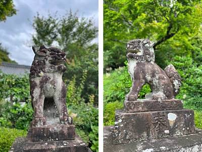 善峰寺の狛犬