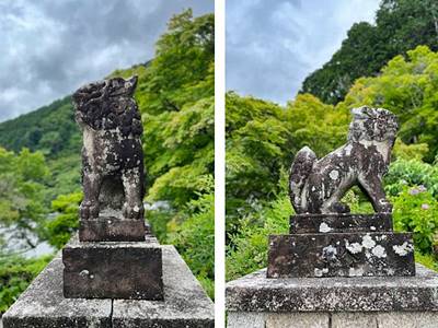 善峰寺の狛犬