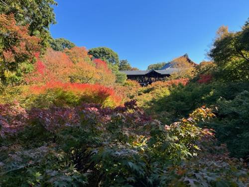 東福寺の紅葉2022.11.7