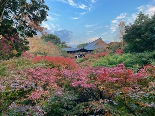 東福寺の紅葉2022.11.10