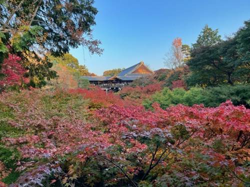 東福寺の紅葉2022.11.12