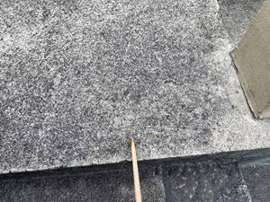 お墓の掃除