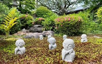 東福寺龍眠庵の樹木葬