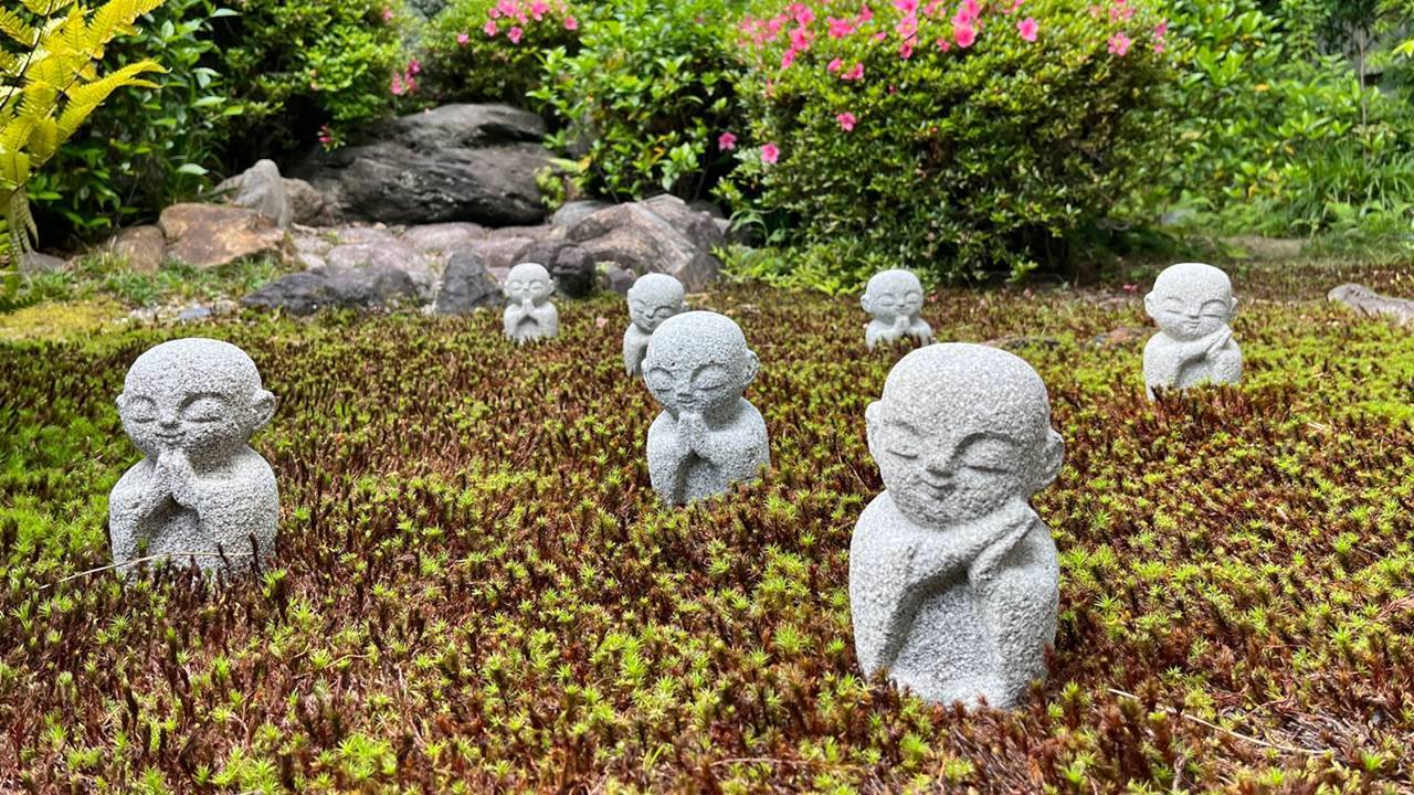 東福寺の中の<br>樹木葬と永代供養墓